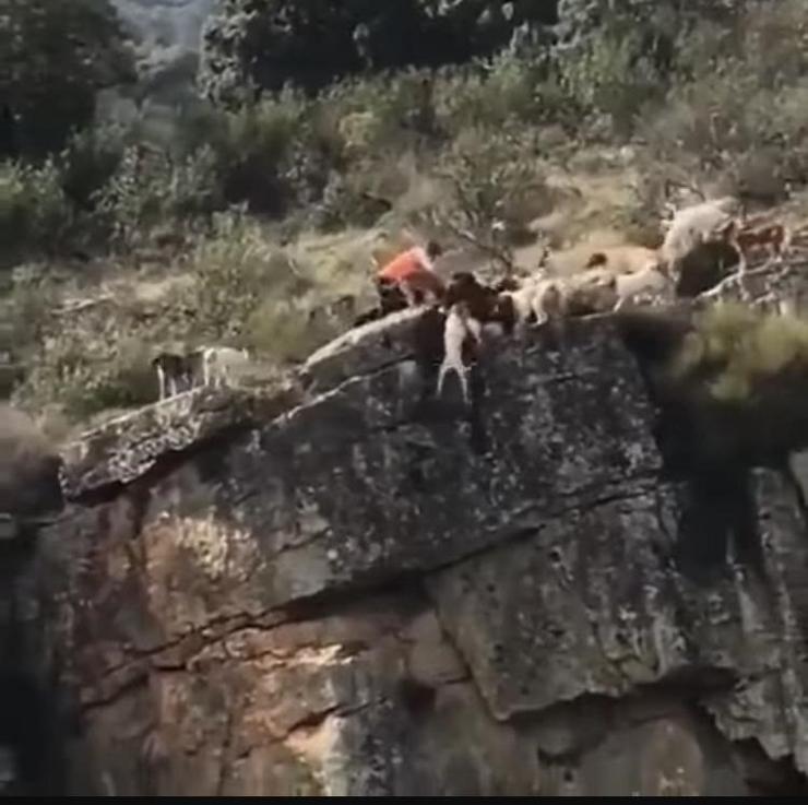 Imaxe do vídeo da cazaría. FAC - Arquivo 