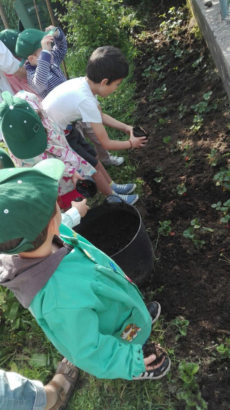 No patio da escola xestionan unha horta ecolóxica  