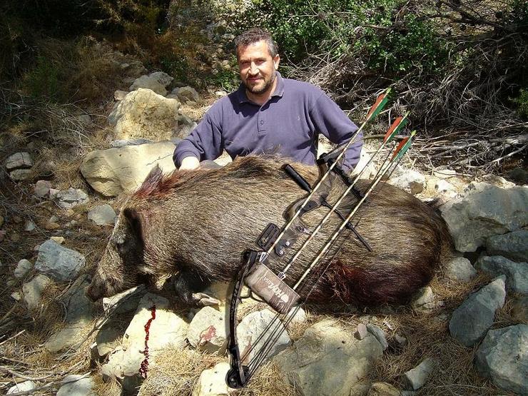 Xabarín cazado con arco e frechas 