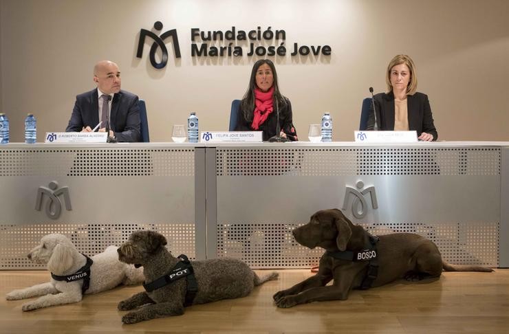 Cans de terapia asistirán a menores da área coruñesa vítimas de violencia de. FUNDACIÓN MARÍA JOSÉ JOVE 