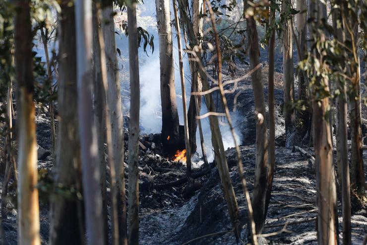 O incendio forestal de Mondariz (Pontevedra). MARTA VÁZQUEZ/EUROPA PRESS - Arquivo / Europa Press