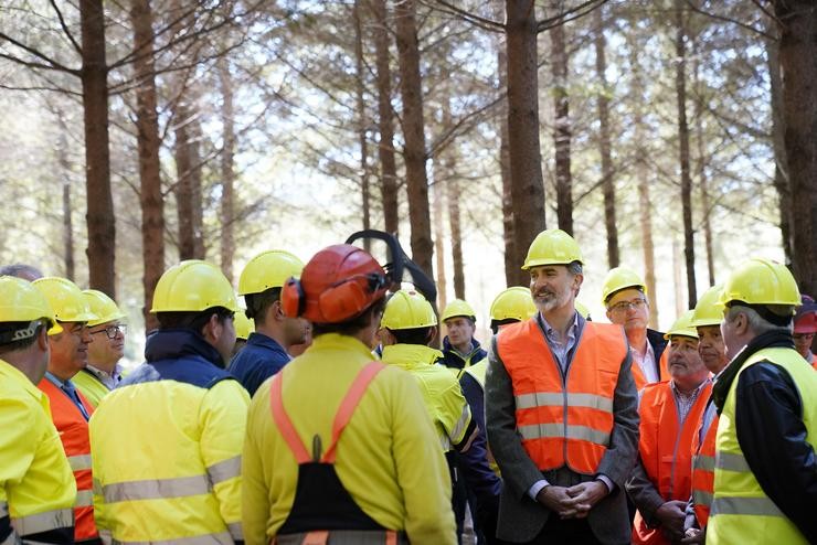 O Rei Felipe VI preside o acto central do Día Internacional dos Bosques 