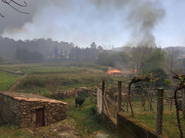 Rural.- O lume preto unha granxa con 20.000 pitos en Rianxo. / EP