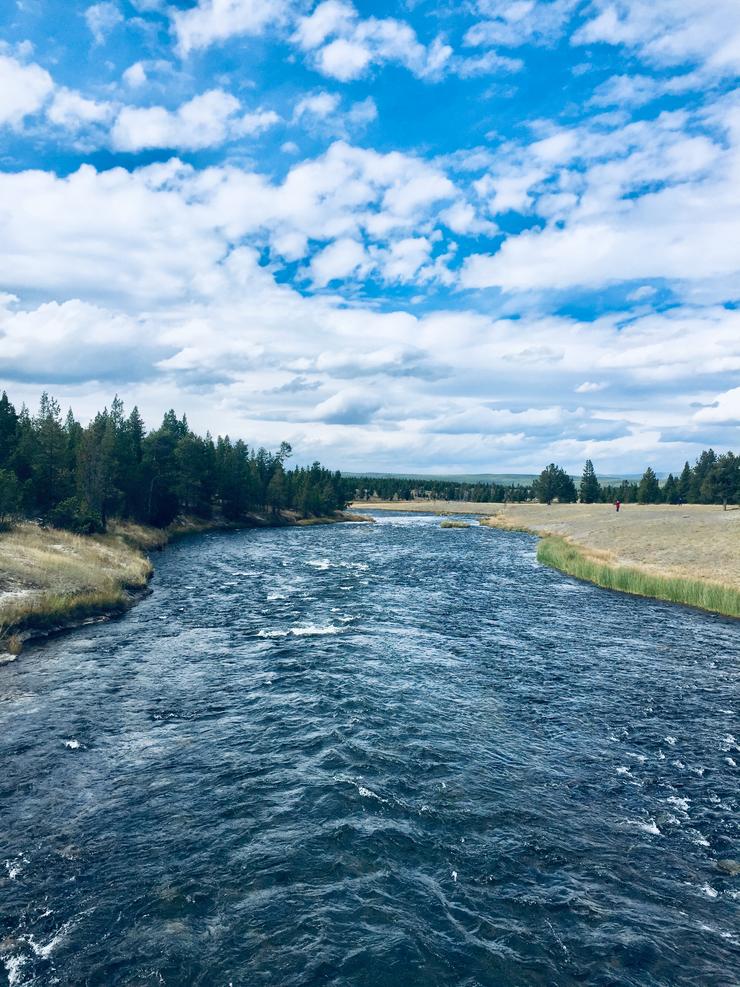 A vida vai coma un río, tamén en Yellowstone
