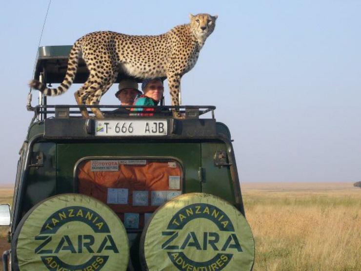 Zara Tanzania Adventures.