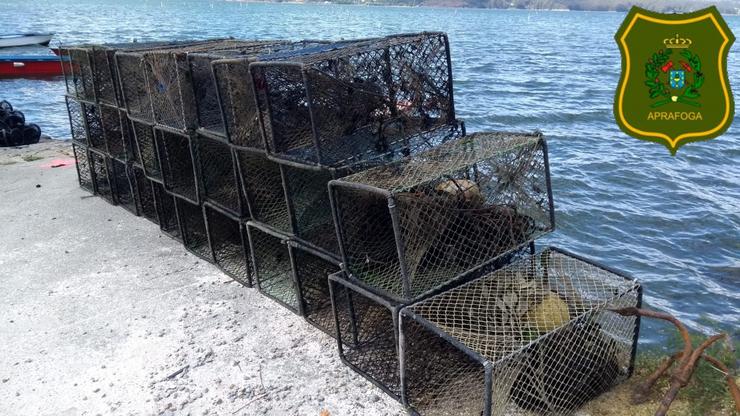 Pesca.- Un operativo contra o furtivismo fluvial comisa máis de 130 nasas preto da Illa de Cortegada. REMITIDA / Europa Press