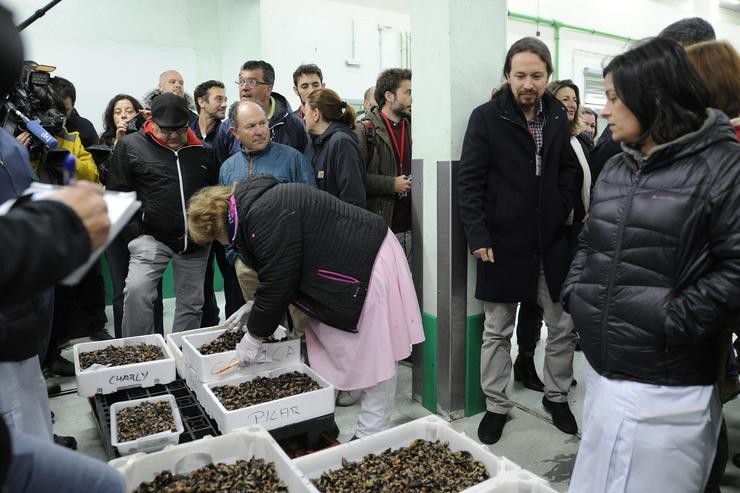 Pablo Iglesias visita a lonxa da Coruña 