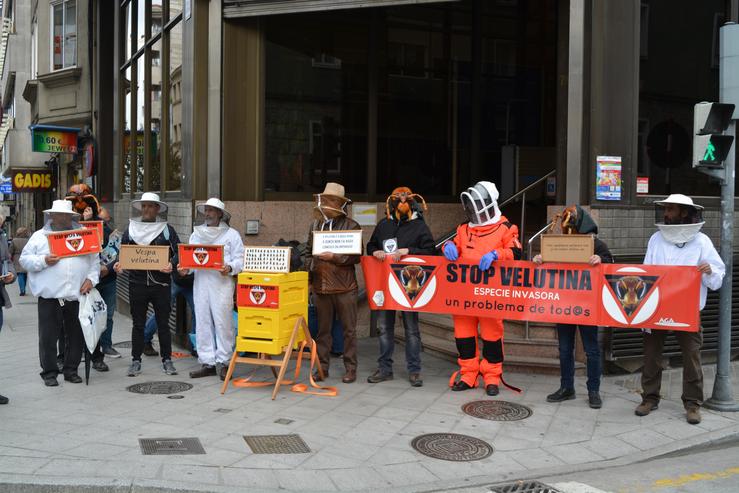 OURENSE VELUTINA. REMITIDA / Europa Press