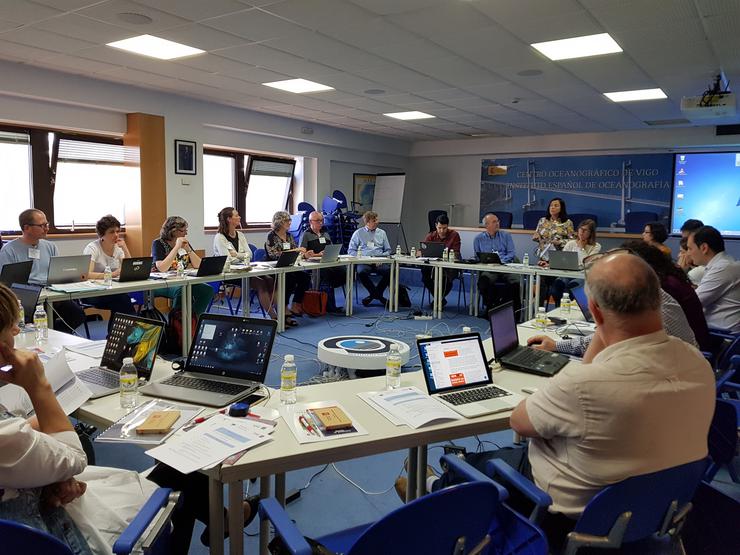 Expertos da Comisión Europea abordan a contaminación mariña nun encontro celebrado esta semana en Vigo. INSTITUTO ESPAÑOL DE OCEANOGRAFÍA