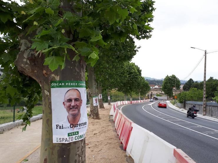 Propaganda electoral nunha árbore 