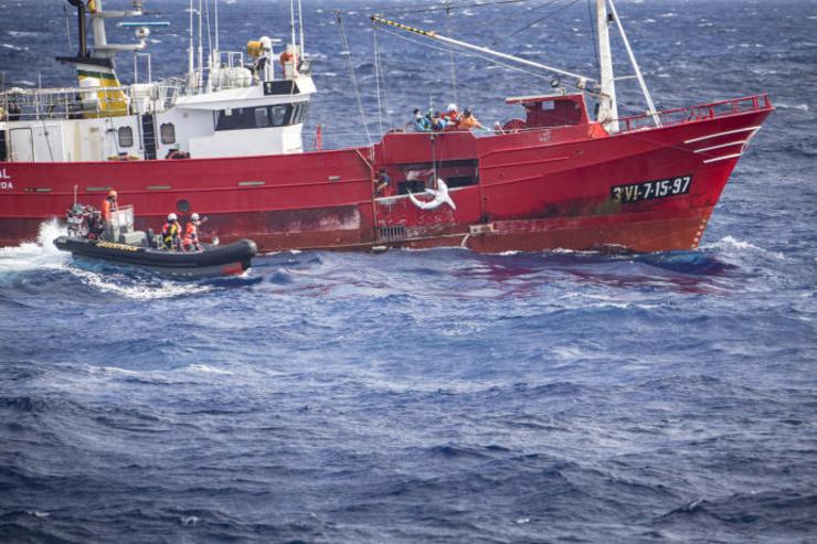 Activistas de Greenpeace e o palangreiro 