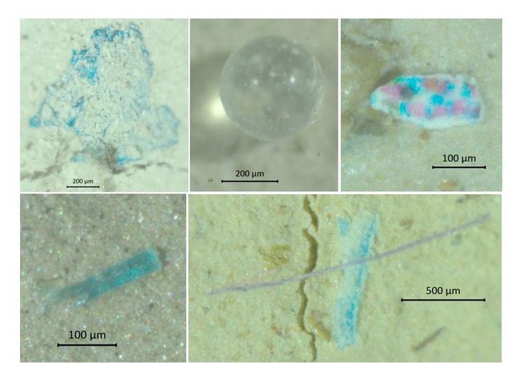 Un estudo do IEO e os centros oceanográficos de Vigo e Murcia confirma a presenza de plásticos no Mediterráneo. IEO / Europa Press