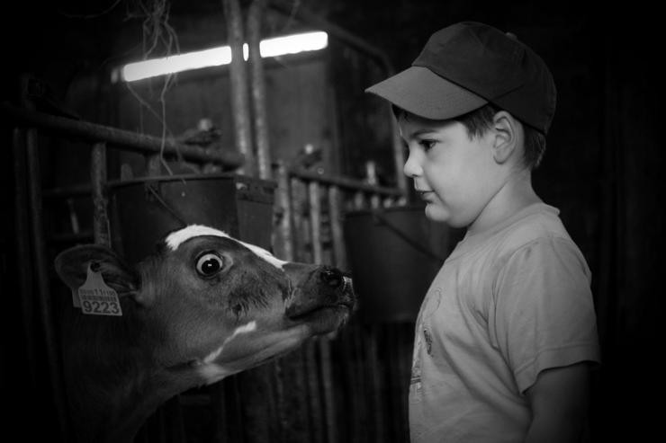 Un dos protagonistas do Silencio dos Eólicos, sobre a vida nunha granxa galega rodeada de eólicos 