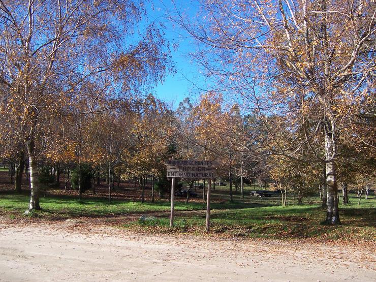 Comunidade de Montes de Tameiga 