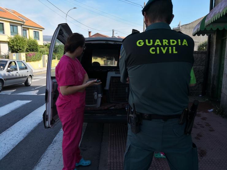 O Seprona e a Garda Civil rescatan a media ducia de cans en Salcedo (Pontevedra). GARDA CIVIL 