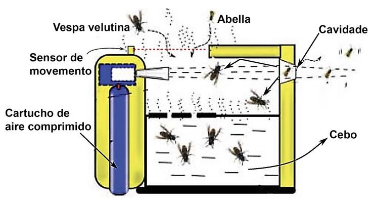 Sistema para capturar exemplares de avespa velutina deseñado por Francisco Javier Arias Montenegro e Salvador Augusto de las Heras Jiménez 