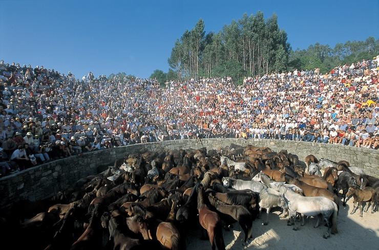 Rapa dás bestas de Sabucedo. TURGALICIA - Arquivo 