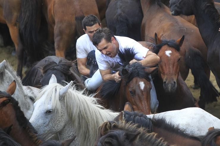 Rapa das Bestas en Sabucedo / Álvaro Ballesteros - Europa Press.