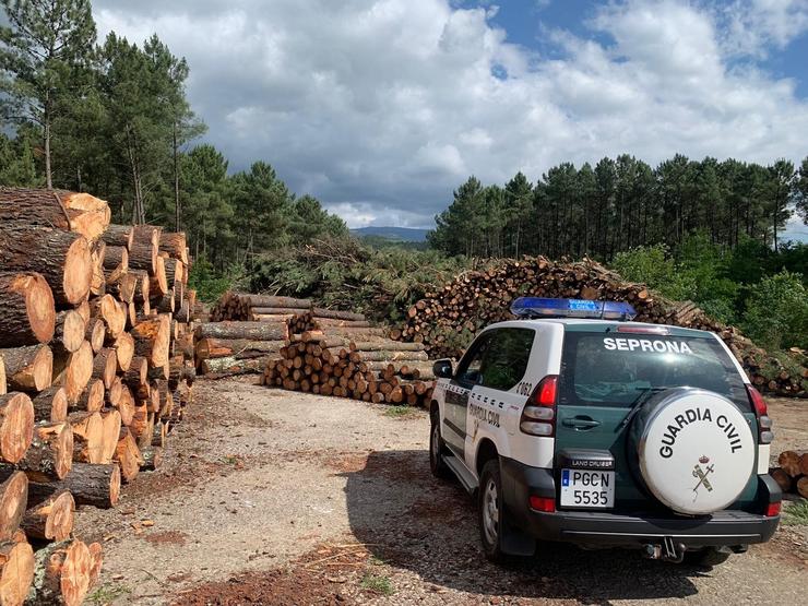 Unha persoa detida e 14 investigadas dunha organización desarticulada por comercializar madeira infectada na provincia de Pontevedra.. GARDA CIVIL 