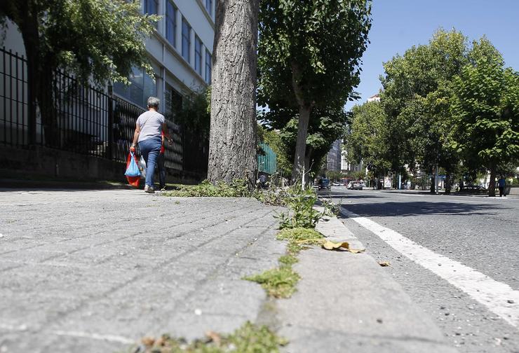 Presenza de malas herbas en rúas da Coruña. CONCELLO DA CORUÑA / Europa Press