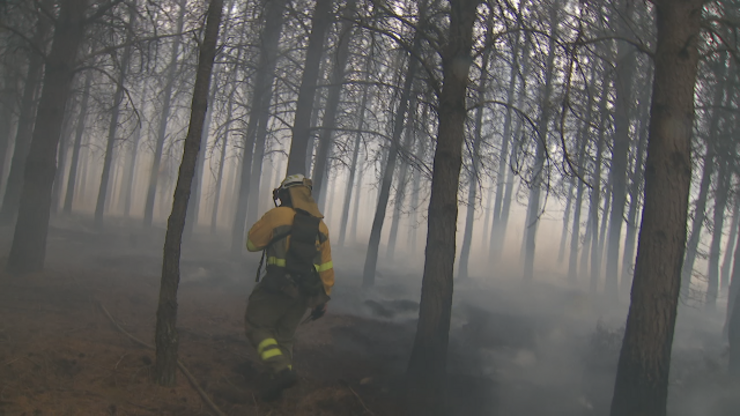 Incendio forestal en Oímbra 