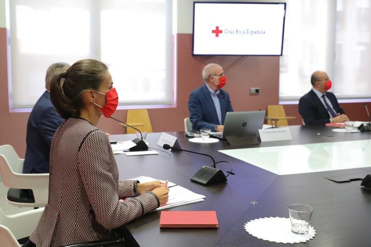 A raíña Letizia durante unha reunión de traballo con representantes de Cruz Vermella Española, en Madrid / Casa Real.