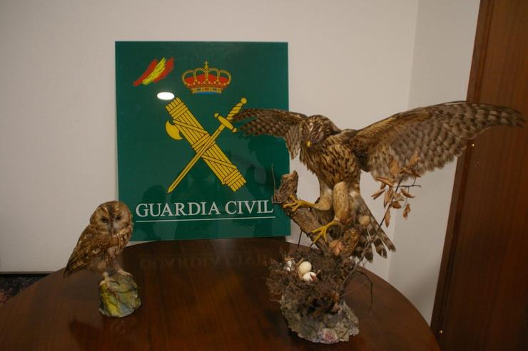 Aves naturais incautadas na Coruña.. GARDA CIVIL 