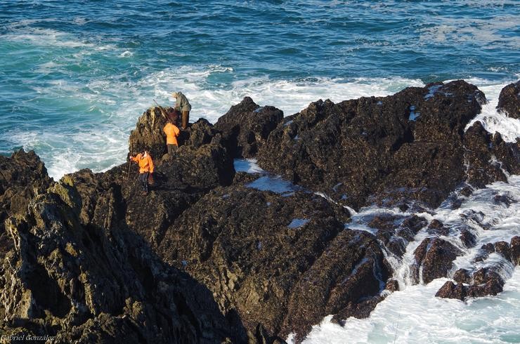 Percebeiros 