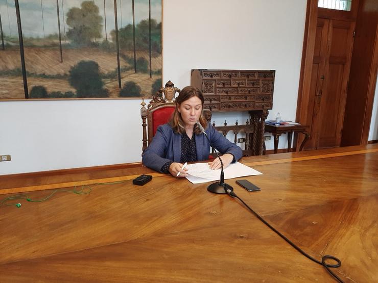 A portavoz da Deputación de Lugo, Pilar García Porto, en rolda de prensa