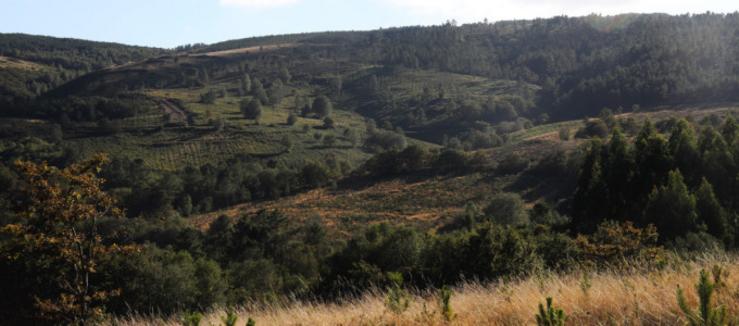 Terreos onde se instalaría a mina de litio Alberta I/pontevedra viva