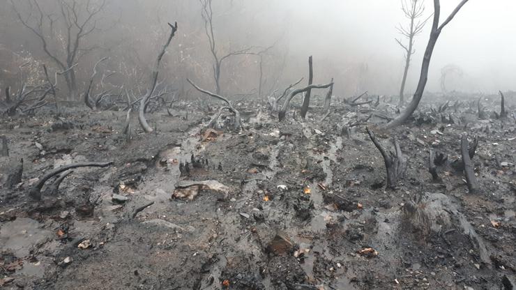 Serra de San Mamede (Macizo Central Ourensán) o 15 de novembro ás 17:30 horas, nunha das corgas que leva a auga ao Ríos Arnoia afluente do Río Miño. Nesta zona aínda non se fixo nada para evitar a erosión e contaminación das augas 