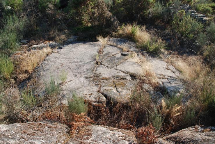 Prensa rupestre descuberta entre Amoeiro, Ourense e Punxín. ASOCIACIÓN PARA A DEFENSA DO PATRIMONIO GALEGO / Europa Press