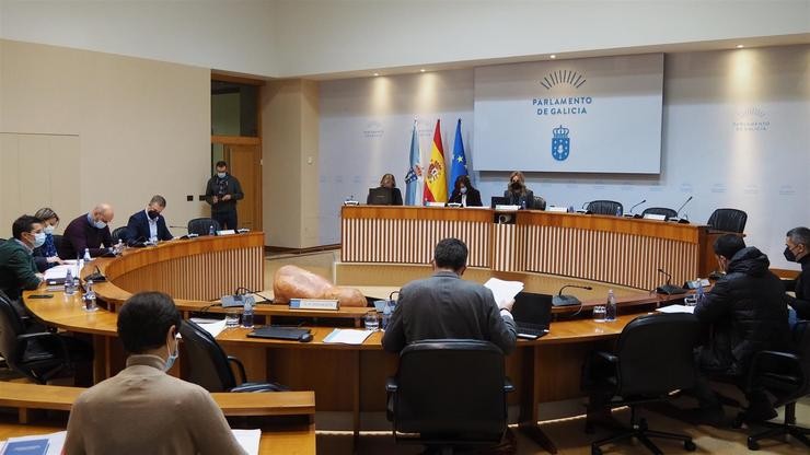 Comisión 6ª, Industria, Enerxía, Comercio e Turismo, celebrada o día 16 de decembro de 2020 no Parlamento de Galicia. PARLAMENTO DE GALICIA 