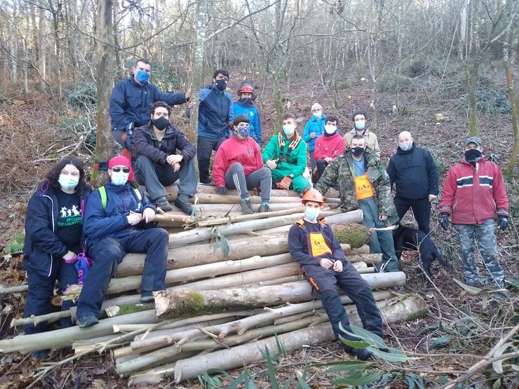 Brigada deseucaliptizadora en Froxán, Lousame 