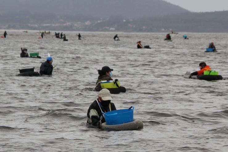 Mariscadores e mariscadoras apañando ameixa e berberecho na Ría de Muros e Noia / Liliana Solís