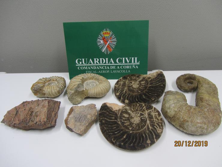 Fósiles incautados pola Garda Civil no aeroporto de Santiago. GARDA CIVIL / Europa Press