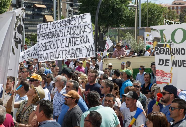 Concentración convocada por COAG e UPA para esixir medidas contra os baixos prezos do aceite de oliva. Na Praza das Batallas.. Francis J. Cano - Europa Press - Arquivo 