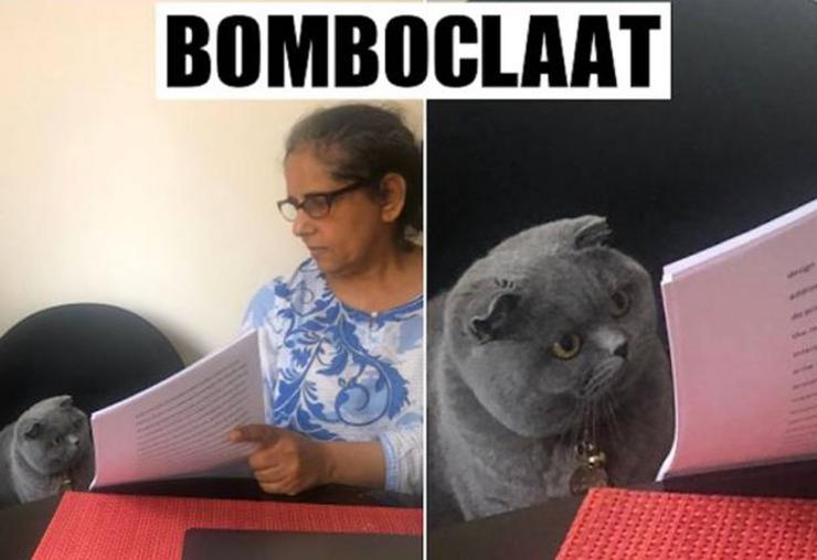 'Bomboclaat' a palabra que é viral na rede.