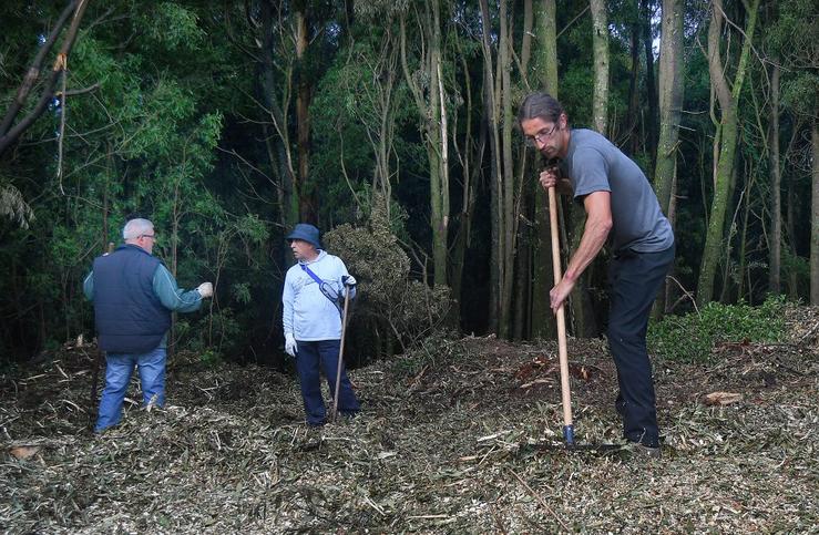 Xornada organizada pola Comunidade de Montes de Teis, en Vigo, contra o rebrote da acacia na Madroa / Miguel Núñez