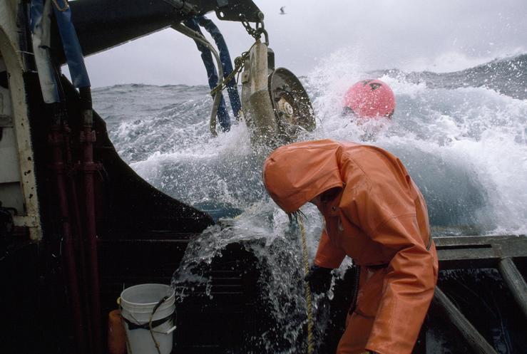 Pesca de altura.