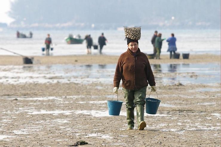 Mariscadoras na praia de Lourido (Pontevedra) 