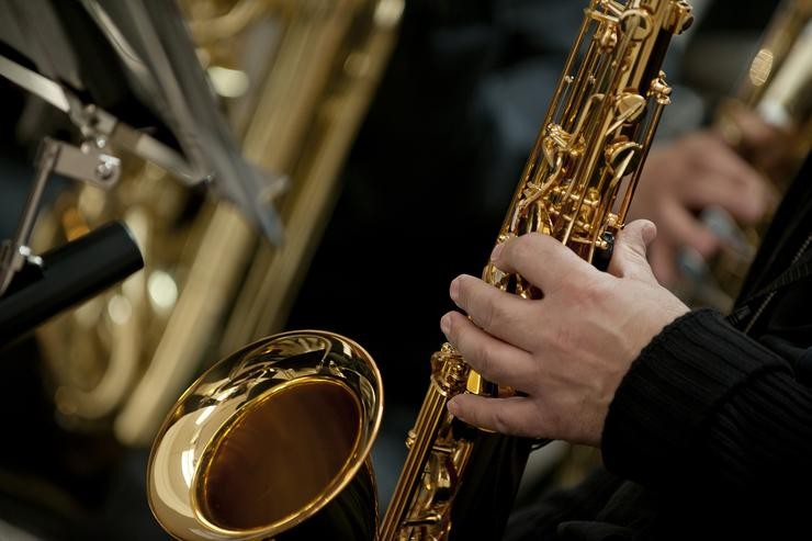 Unha persoa tocando un instrumento. CONCELLO DE VILLANUEVA DE LA CAÑADA 