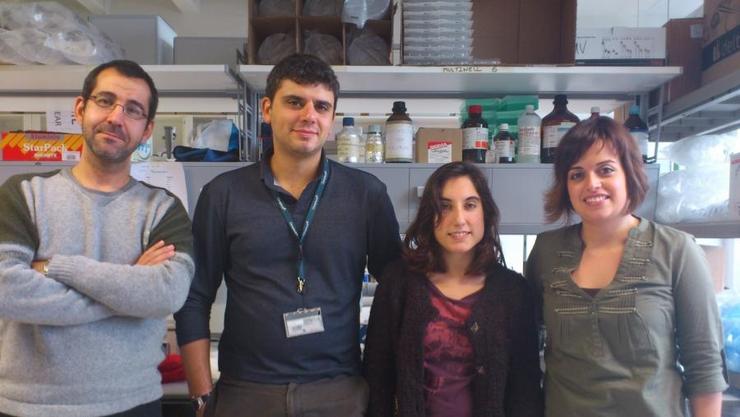 Os investigadores Anxo Vidal, Marcos García, Adriana Martínez Ledo e Erea Borrajo, do Centro Singular de Investigación en Medicamento Molecular e Enfermidades Crónicas (CiMUS) da Universidade de Santiago.. USC 