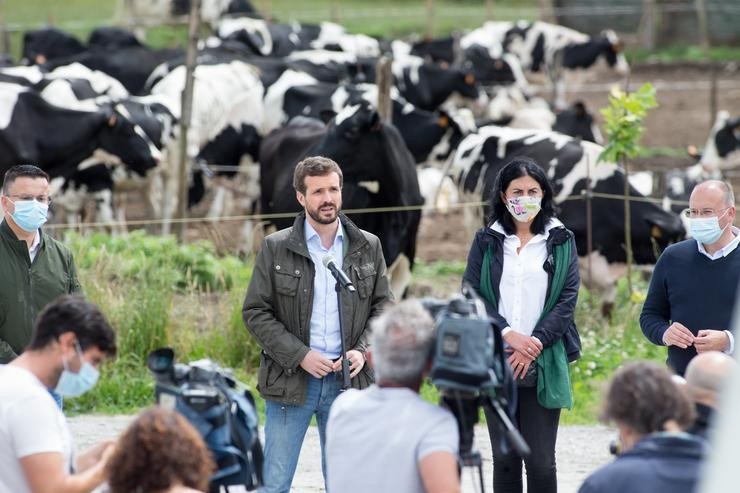 O presidente do PP, Pablo Casado (2i), ofrece declaracións aos medios durante a súa visita a unha explotación láctea en compañía da cabeza de lista pola provincia ás eleccións do 12 de xullo, Elena Candia (2d), e do secretario xeral do PPde. Carlos Castro - Europa Press 