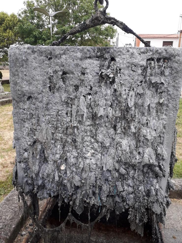 Imaxe do cesto da planta de bombeo antes da limpeza