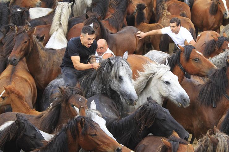 Rapa das Bestas en Sabucedo, na Estrada / Álvaro Ballesteros - Europa Press - Arquivo.