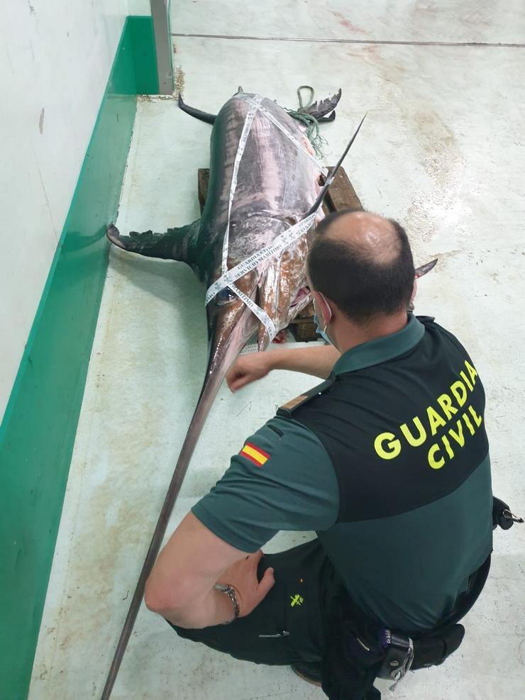 A Garda Civil comisa un peixe espada de 245 quilos na Coruña. GARDA CIVIL 