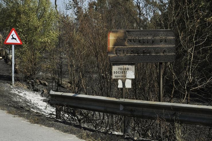 Cartel queimado polo incendio de Cualedro (Ourense) que segue sen control desde o seu inicio o mércores e que se converteu xa no peor do ano, arrasando 1.000 hectáreas 