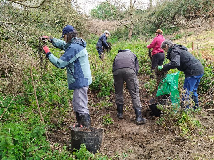 Voluntariado de Fragas do Mandeo limpando a zona 