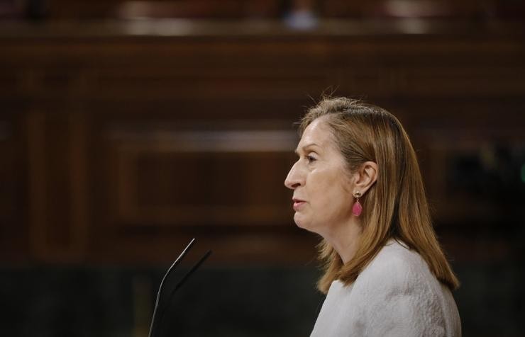 A deputada do PP Ana Pastor intervén durante unha sesión plenaria no Congreso dos Deputados, a 21 de xullo de 2020 / J. Hellín. POOL - Arquivo